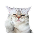 :catkyu: