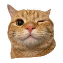:catwink: