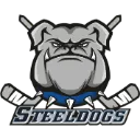 Sheffield_Steeldogs