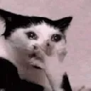 wtf