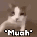 emoji_3 animated Discord emote from Be with Ray