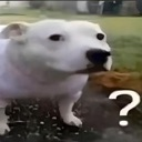 question custom emote | chudmaxxing haven