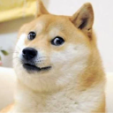 doge Discord Emoji - TuffBoi Clan