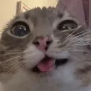 bwehehe