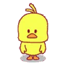<a:emoji_56:1505331729693544469>