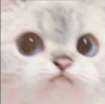 CAThmm Discord sticker - Lust Garden18+