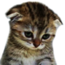 emoji_73