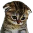 :emoji_73: