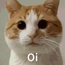 ill_catoi