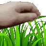 zzzzzpokemontouchgrass Discord emoji