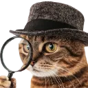 cat_detective cat_detective