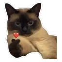 Catheart