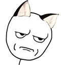 AngryCat
