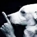 hush