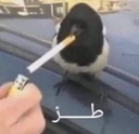emoji_58 custom emote from 𝐓𝐁𝐬