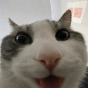 KU_CatHappy Discord emoji
