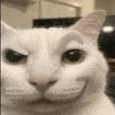 catsmirk custom emote from Arcade