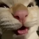 hehe
