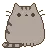 pusheenBlink
