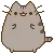 pusheenBounce