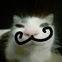 Bigote