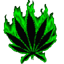 emoji_5