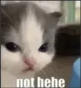 Nohehe