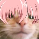 YunoBruhCat