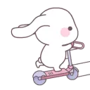 xsbunnyscoot