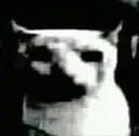 Xieron_stolen_emoji_1777478520