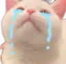 cry_cat