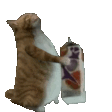 :dispute: