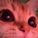 hearteyes