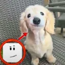 George