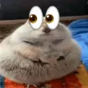 erm