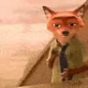 scubafox