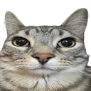 seriously Discord Emoji - Plugin Zone