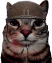 soldjacat custom emote | Plugin Zone