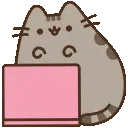 zz_pusheenwork