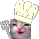 ChefDopey