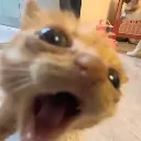 WATDAHECK