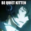 kitten