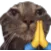 catpray