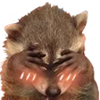 6594raccoonblush