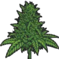 canna_buddy custom emote - Outer Nowhere