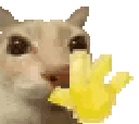 catwave Discord emoji