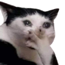 sadcate Discord Emoji - Atheist Front ⚛