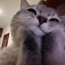 :mooh: