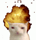 catexplode Discord emoji