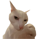 supbbg Discord emoji